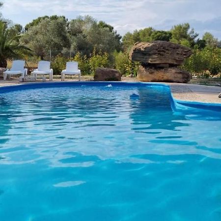 Casa Con Vistas, Piscina Y Animales De Granja, La Caseta Tarragona Buitenkant foto