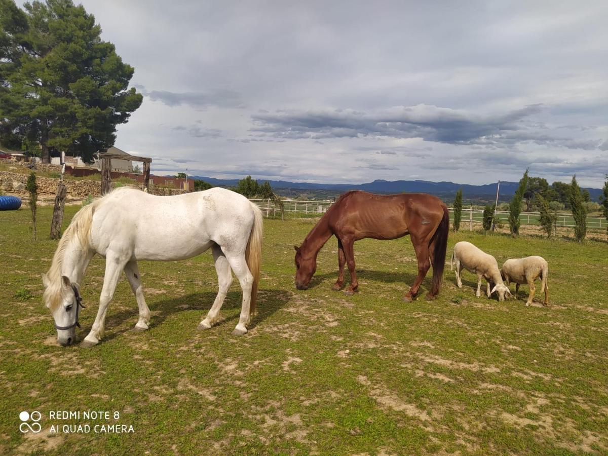 Casa Con Vistas, Piscina Y Animales De Granja, La Caseta Tarragona Buitenkant foto