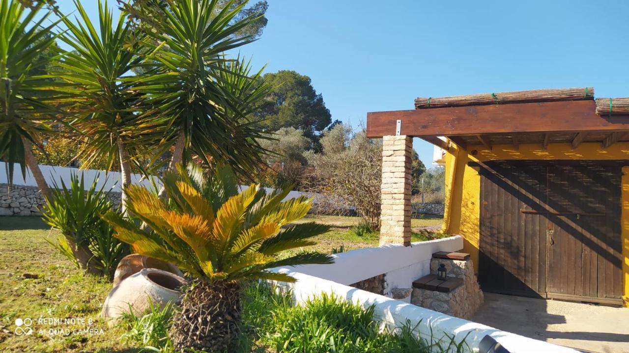 Casa Con Vistas, Piscina Y Animales De Granja, La Caseta Tarragona Buitenkant foto