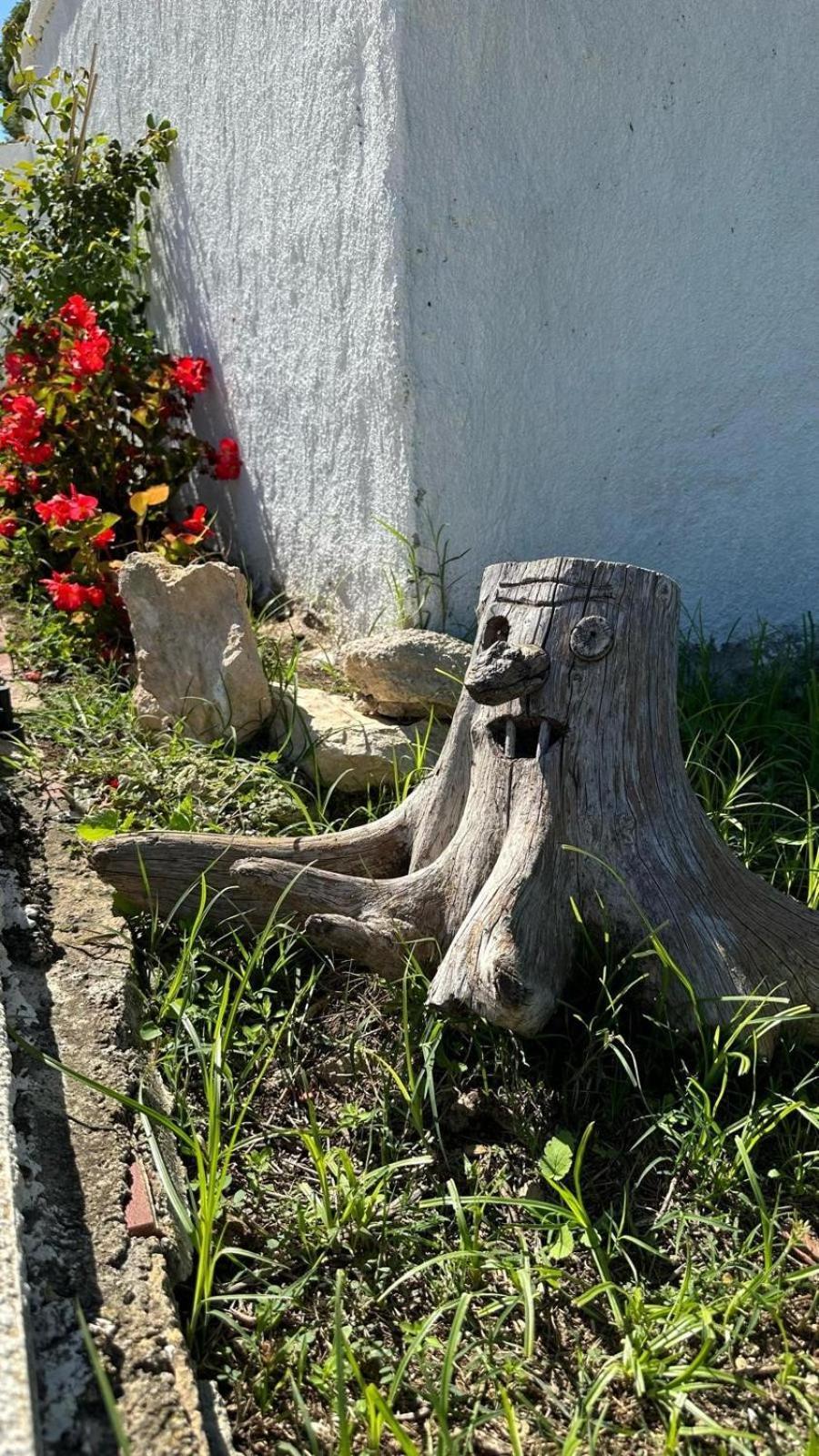 Casa Con Vistas, Piscina Y Animales De Granja, La Caseta Tarragona Buitenkant foto